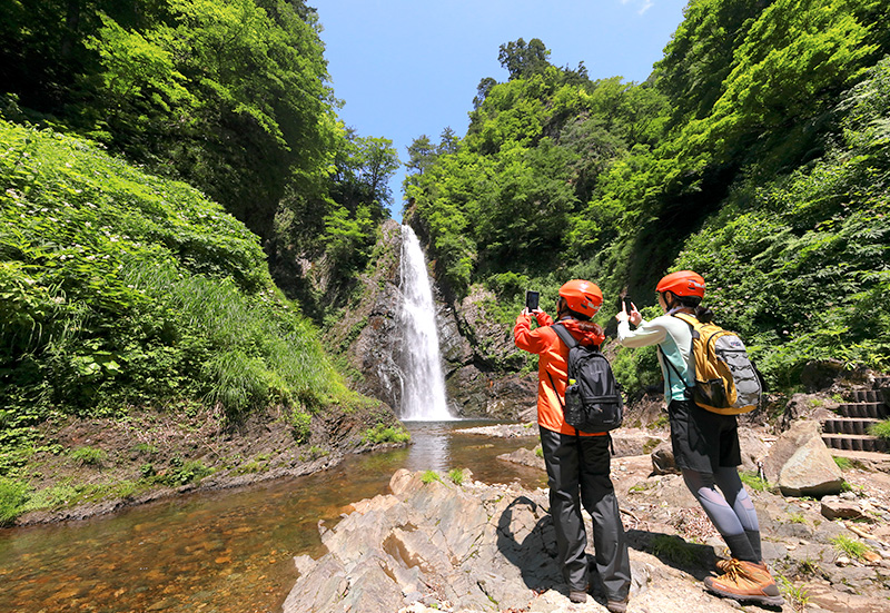 白神山地トレッキングの様子